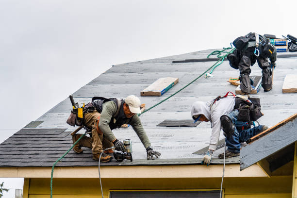 Professional Roof Installation technician working in Mattapan, MA